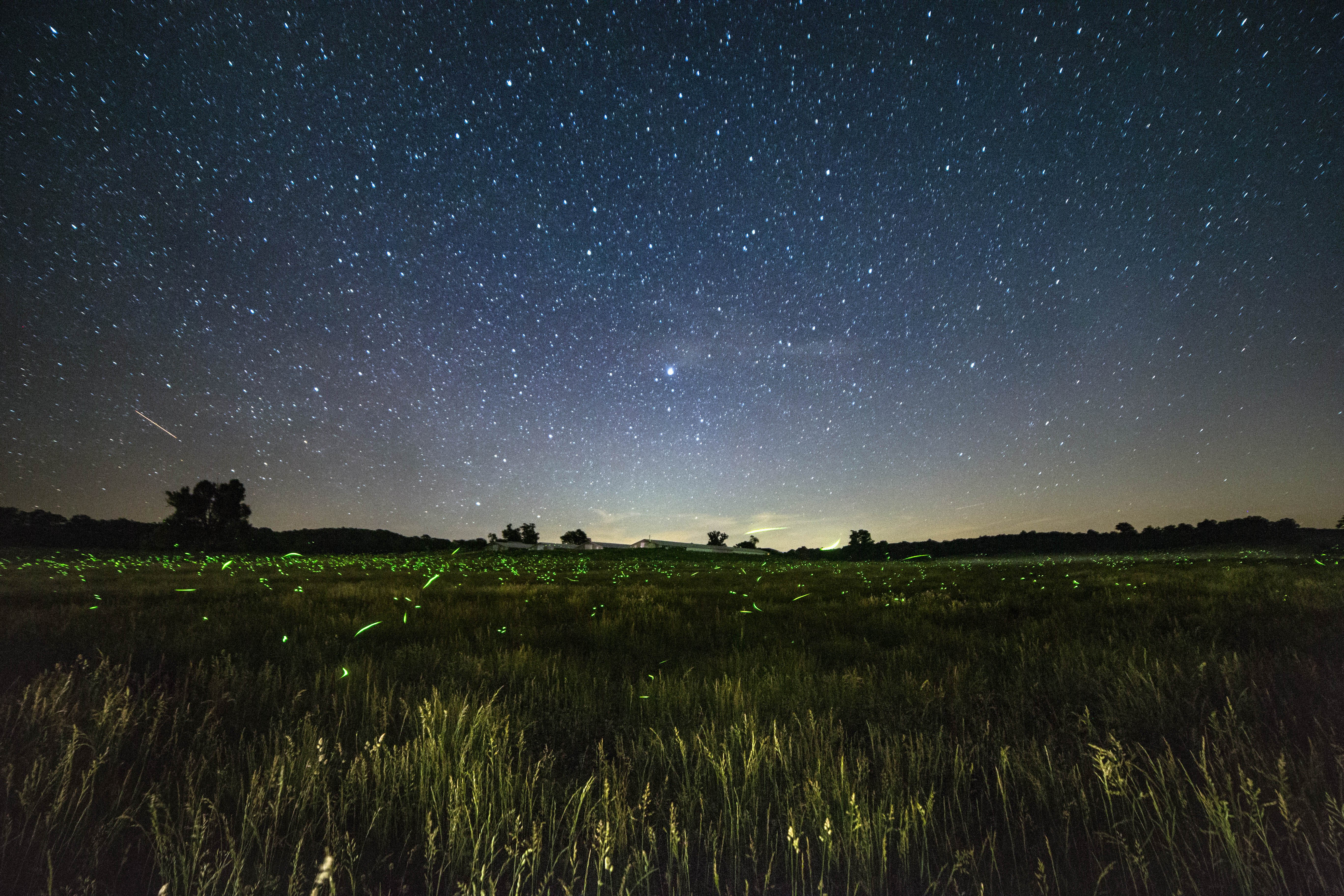 Image source: shutterstock