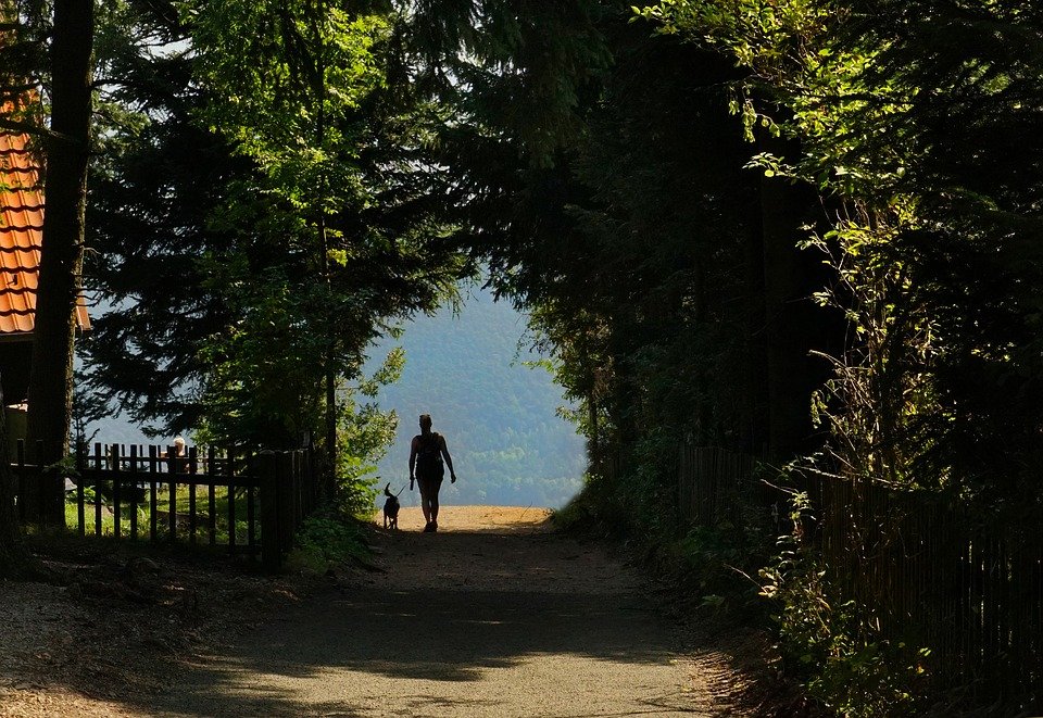 Perro y su dueño caminando │Imagen tomada de: Pixabay Perro y su dueño caminando │Imagen tomada de: Pixabay