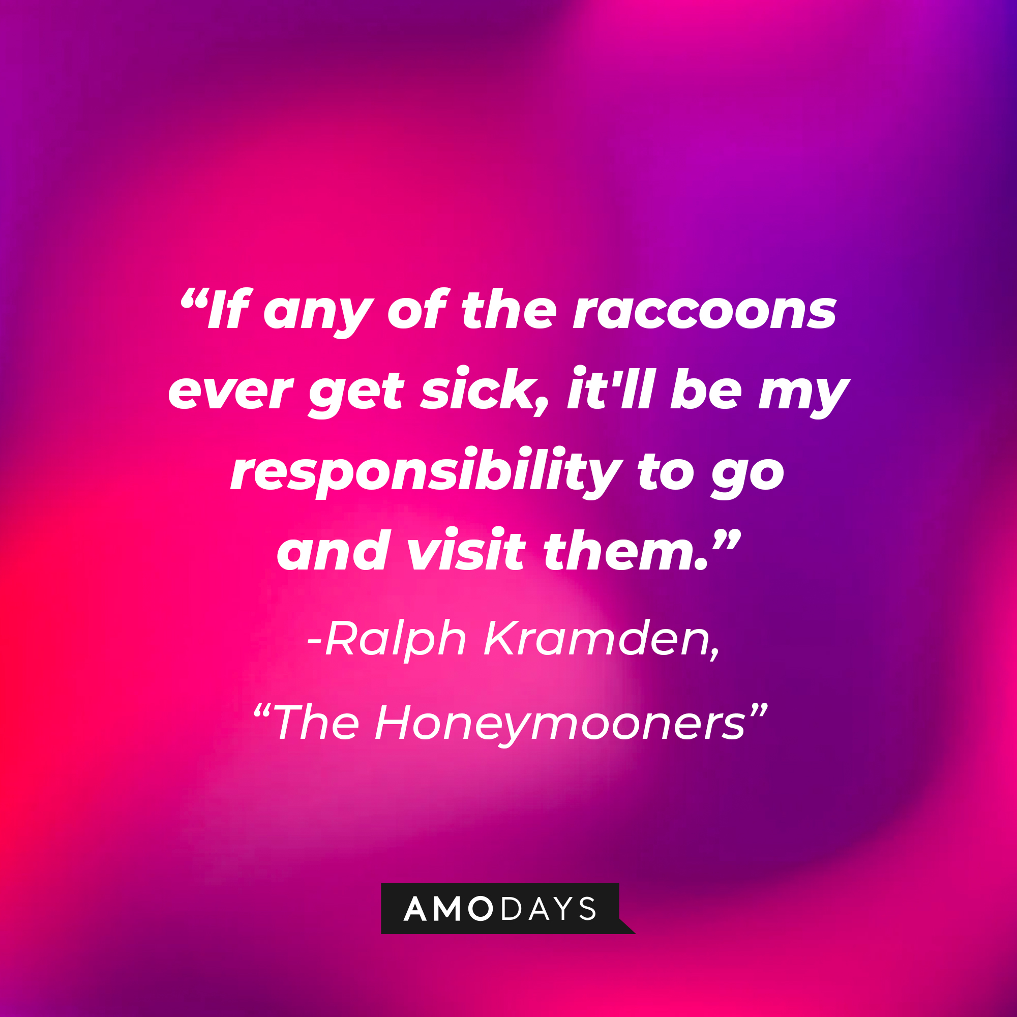 A quote from "The Honeymooners" star Ralph Kramden: "If any of the raccoons ever get sick, it'll be my responsibility to go and visit them." | Source: AmoDays