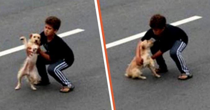 Jean Fernandes rescues an injured dog from oncoming traffic | Source: facebook.com/OfficialCaresOneNo