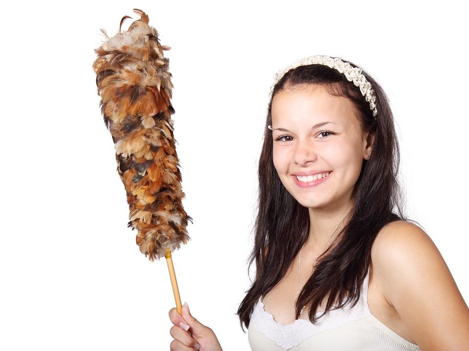 Mujer con plumero │Imagen tomada de: Pixabay Mujer con plumero │Imagen tomada de: Pixabay