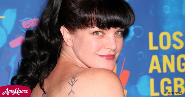 CBS responded to Pauley Perrette's alleged reasons for quitting 'NCIS'