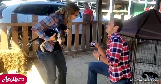 Girl thought she got the surprise of her life with a puppy until boyfriend went even further