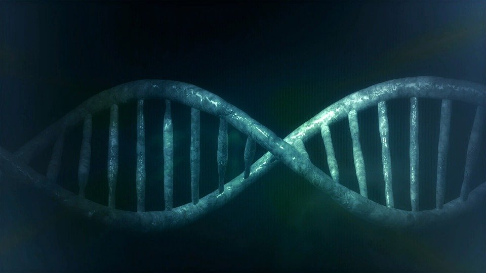 ADN / Imagen tomada de: Pixabay