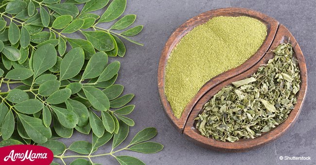 Moringa - the herb that allegedly 'kills' cancer and 'stop' diabetes, traditional medicine says