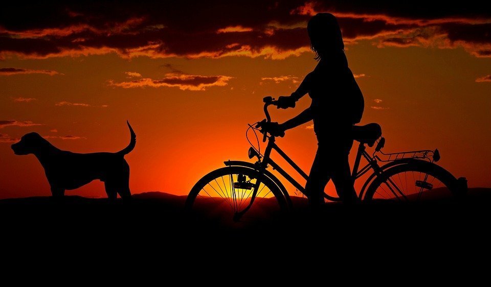 Frau mit Rad und Hund bei Sonnenuntergang | Quelle: Pixabay