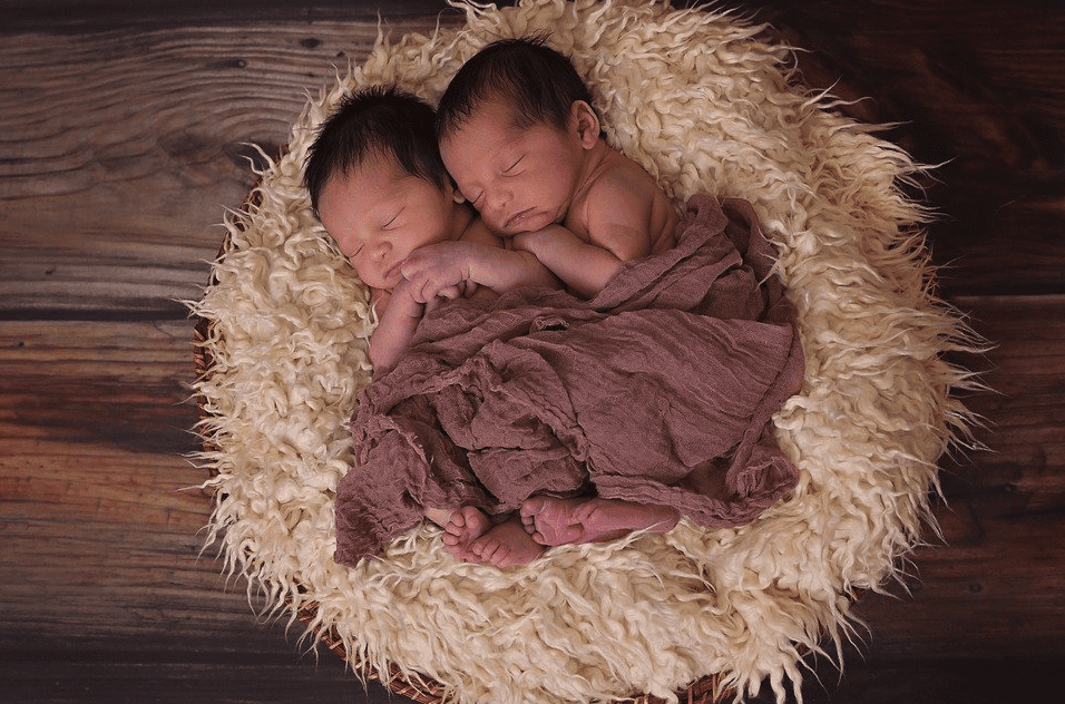 A portrait of twin babies sleeping a fur in a basket | Photo: Pixabay