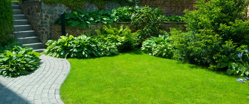 A garden stone path with grass growing up between the stones. | Photo: Shutterstock