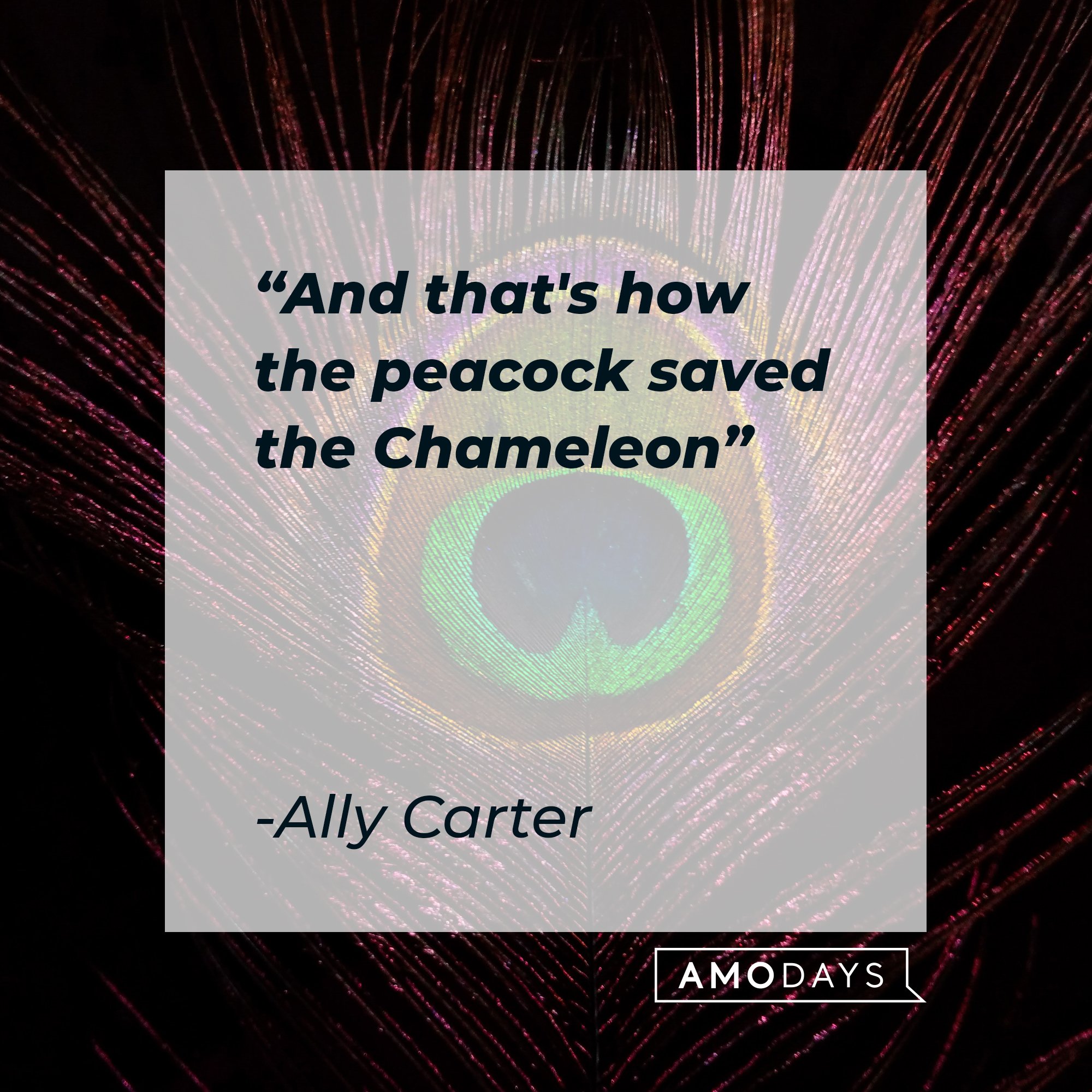 Ally Carter’s quote: "And that's how the peacock saved the chameleon" | Image: AmoDays