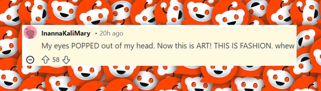 A fan comment dated December 23, 2025. | Source: Reddit/r/whatthefrockk