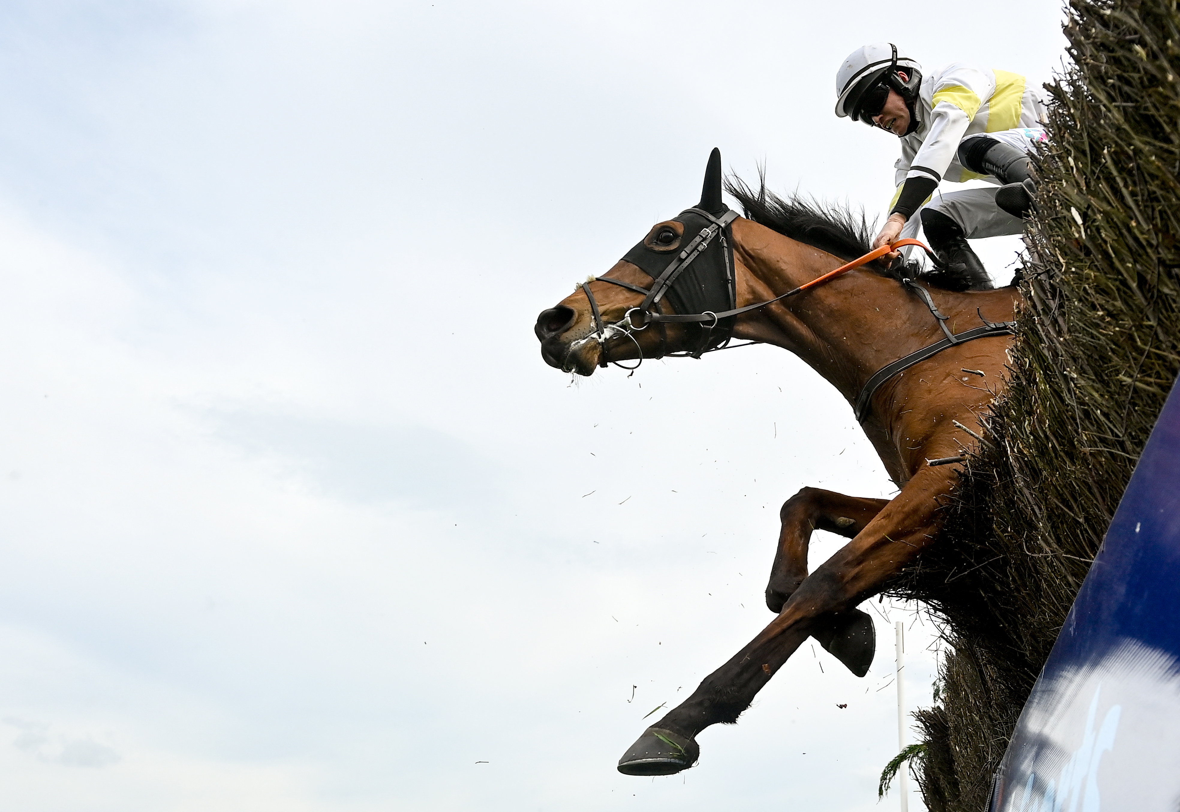 Michael O'Sullivan and Mount Time To Rocco narrowly avoid falling at the last during the BoyleSports Mares Novice Steeplechase on day one of the Fairyhouse Easter Festival at Fairyhouse Racecourse in Ratoath, Meath, on April 8, 2023 | Source: Getty Images