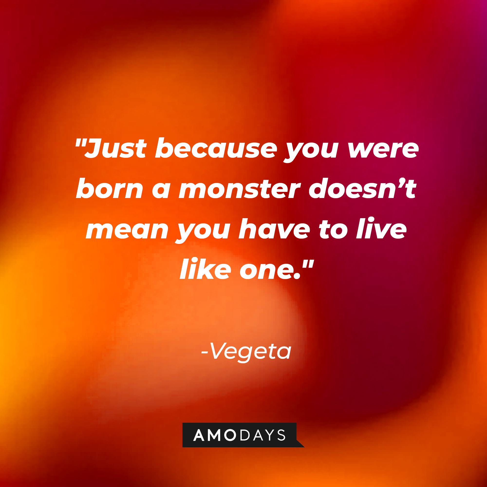 Vegeta's quote: "Just because you were born a monster doesn’t mean you have to live like one." | Source: Amodays