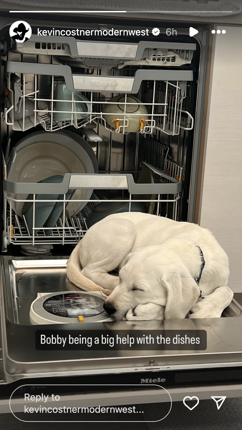 Kevin Costner's new puppy, Bobby, sleeping inside his dishwasher posted on February 14, 2024 | Source: Instagram/kevincostnermodernwest
