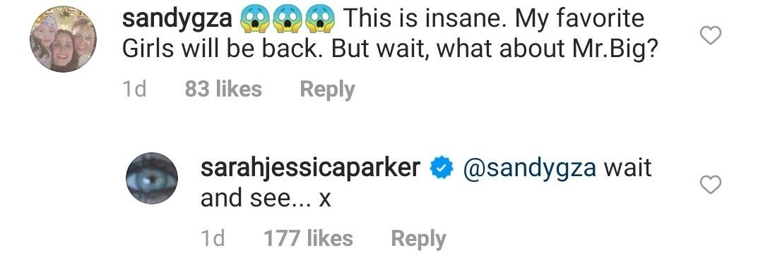 A screenshot of Sarah Jessica Parker's response to a fan's comment on her instagram post | Photo: instagram.com/sarahjessicaparker/