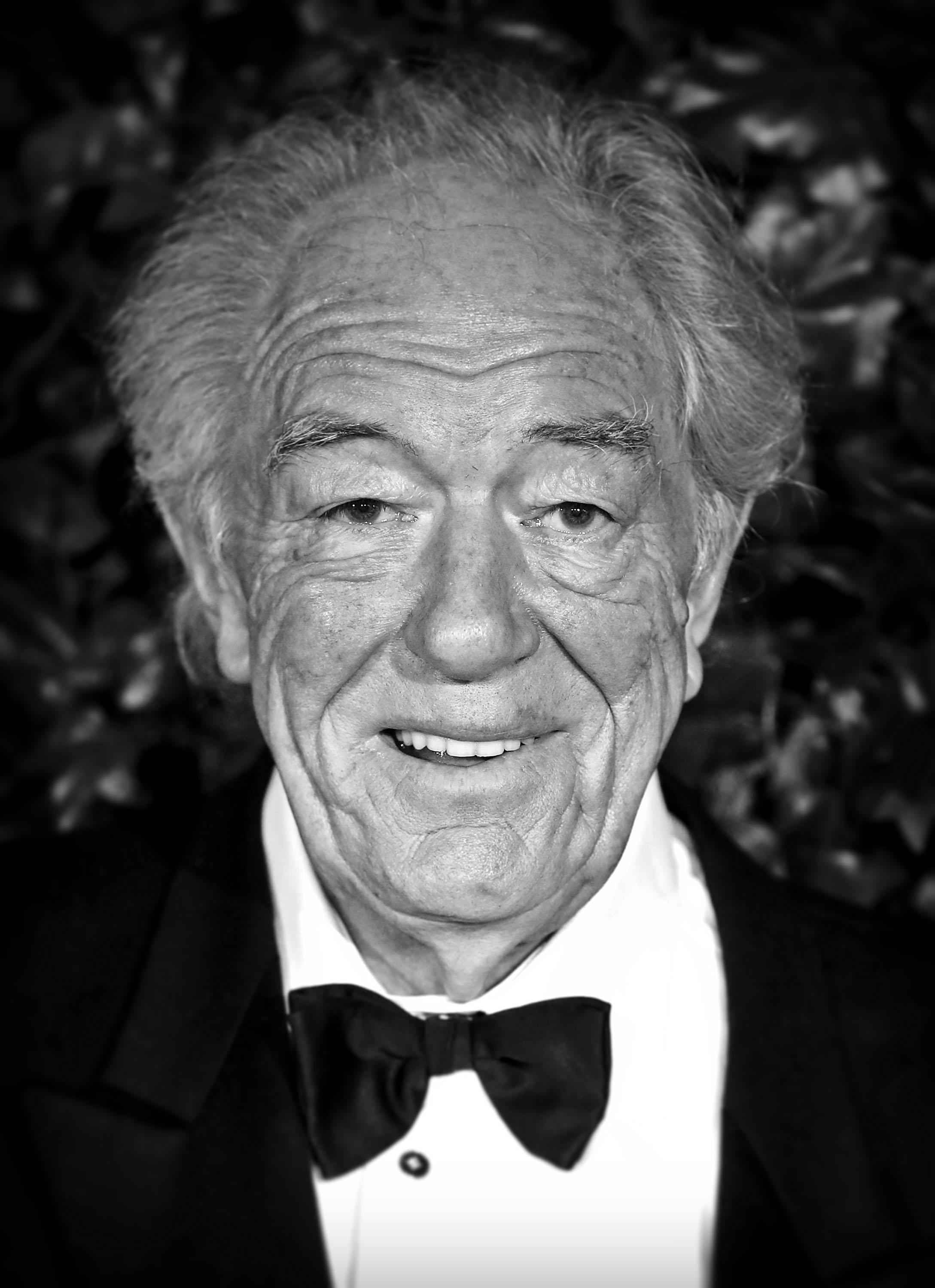 Michael Gambon at The London Evening Standard Theatre Awards on November 13, 2016 | Source: Getty Images