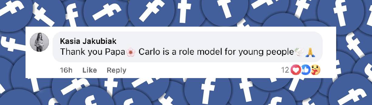 A fan comment dated June 13, 2025 | Source: Facebook/vaticannews