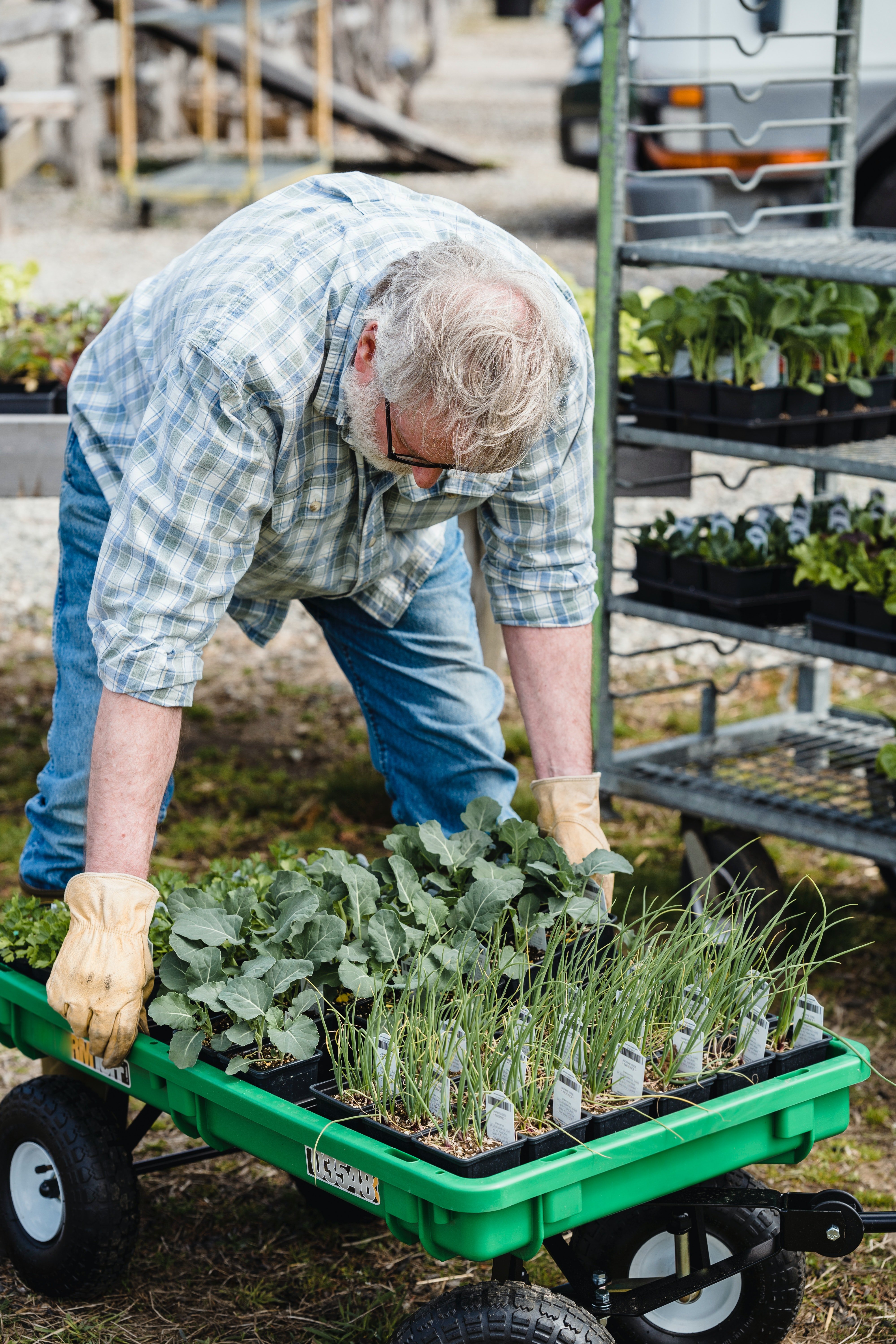 Anciano con muchas plantas para sembrar. | Foto: Pexels