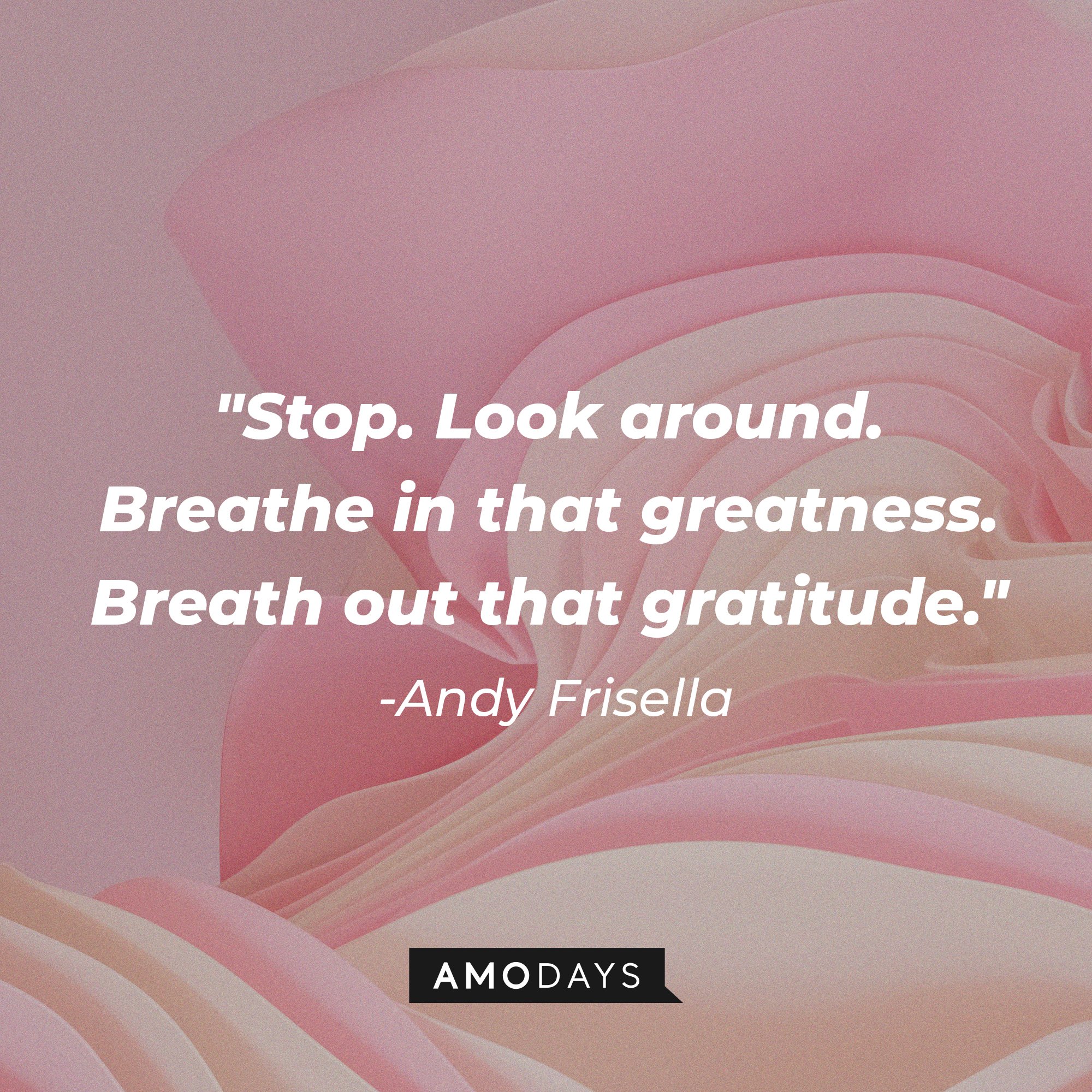 Andy Frisella's quote: "Stop. Look around. Breathe in that greatness. Breath out that gratitude." | Image: AmoDays
