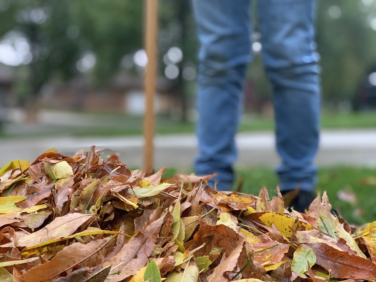 A man sweeping dried leaves on the lawn | Source: Pixabay