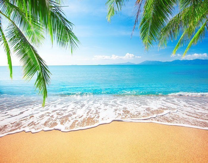 Imagen tomada de: Shutterstock Imagen tomada de: Shutterstock