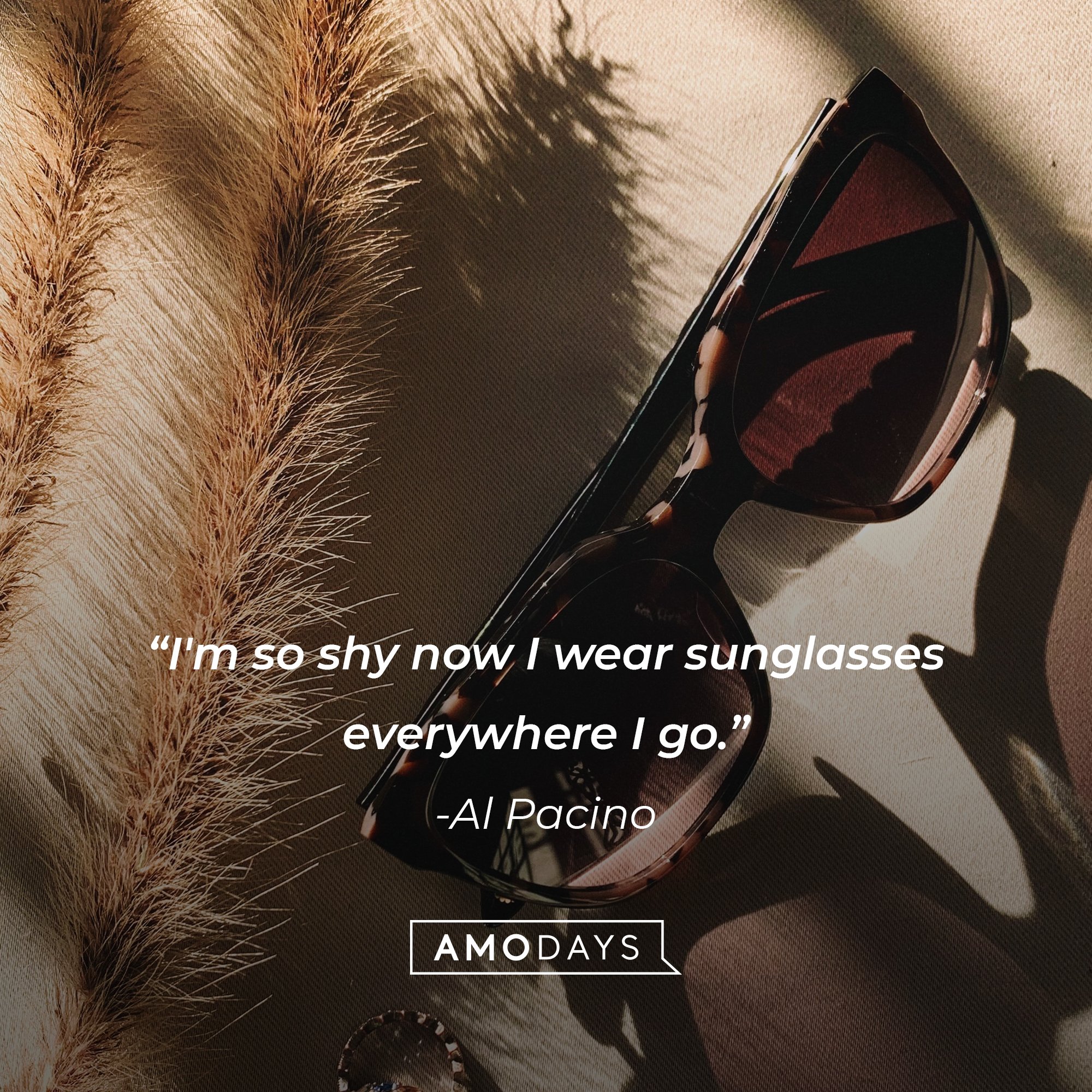 Al Pacino’s quote: "I'm so shy now I wear sunglasses everywhere I go." | Image: AmoDays 