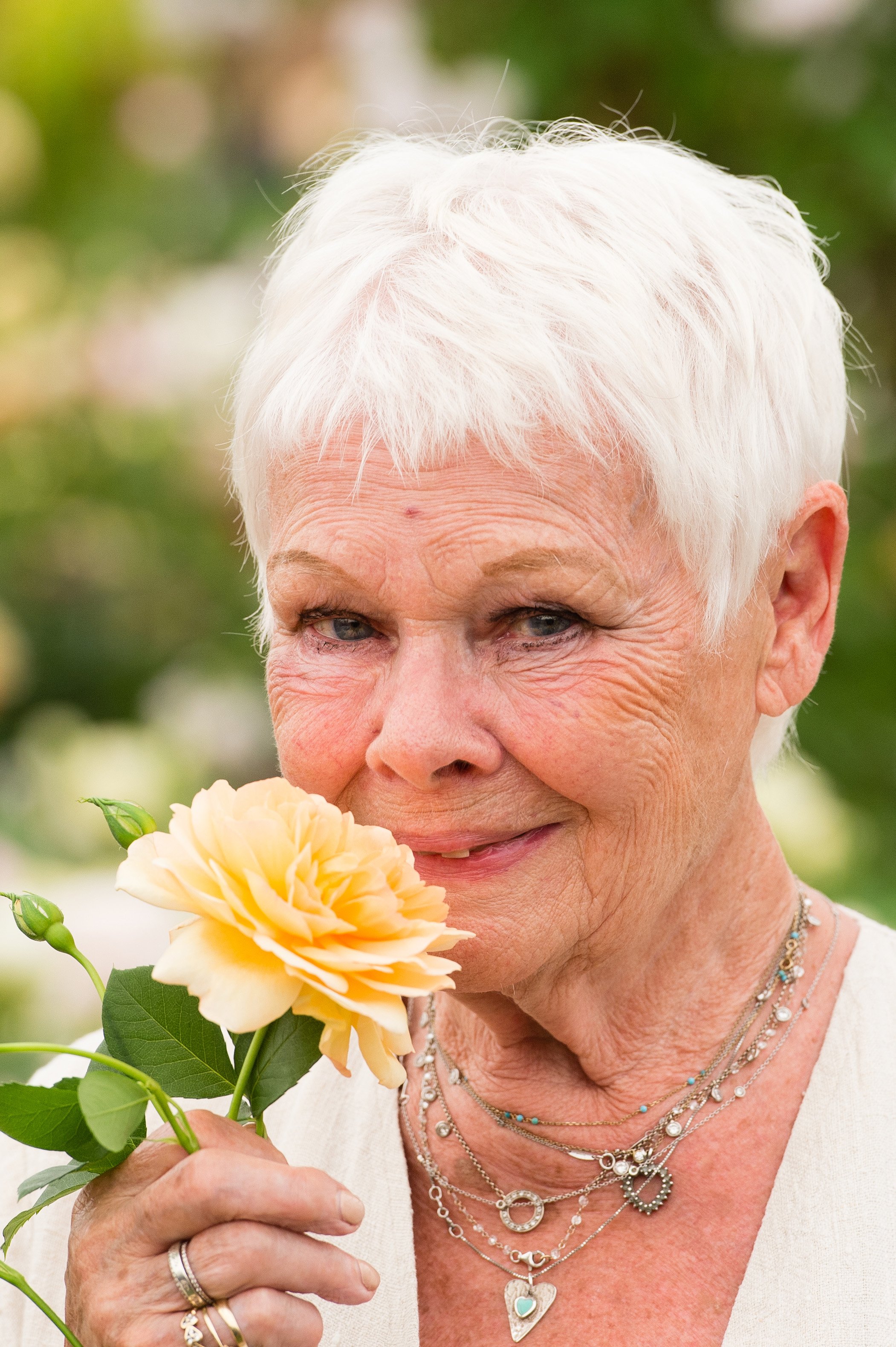Judi Dench attends RHS Chelsea Flower Show press day at Royal Hospital Chelsea on May 22, 2017 in London, England | Source: Getty Images