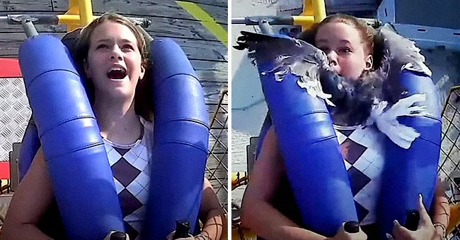 Kiley Holman riding on a rollercoaster when a seagull flies into her face. | Source:  youtube.com/abc7NY