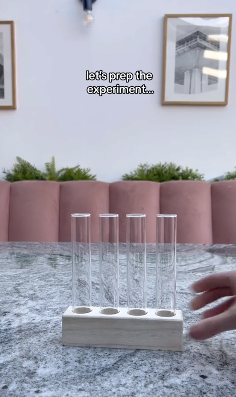 Test tubes for the propagating experiment in a clip uploaded on October 5, 2024 | Source: TikTok/thelittlelifelately