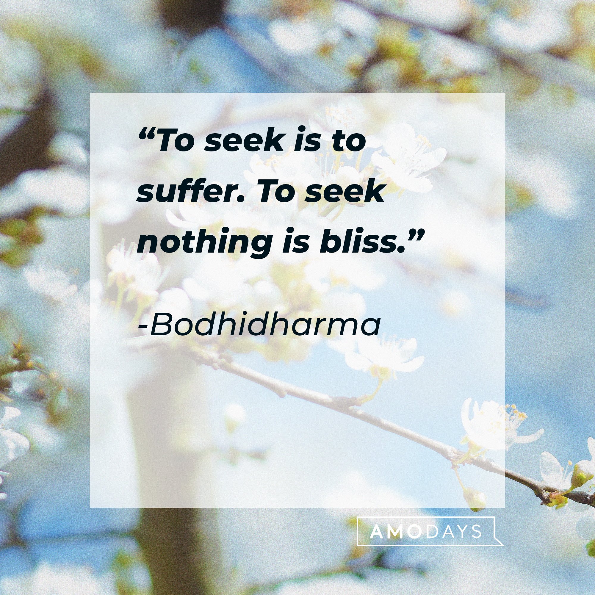  Bodhidharma's quote: “To seek is to suffer. To seek nothing is bliss.” | Imag: AmoDays