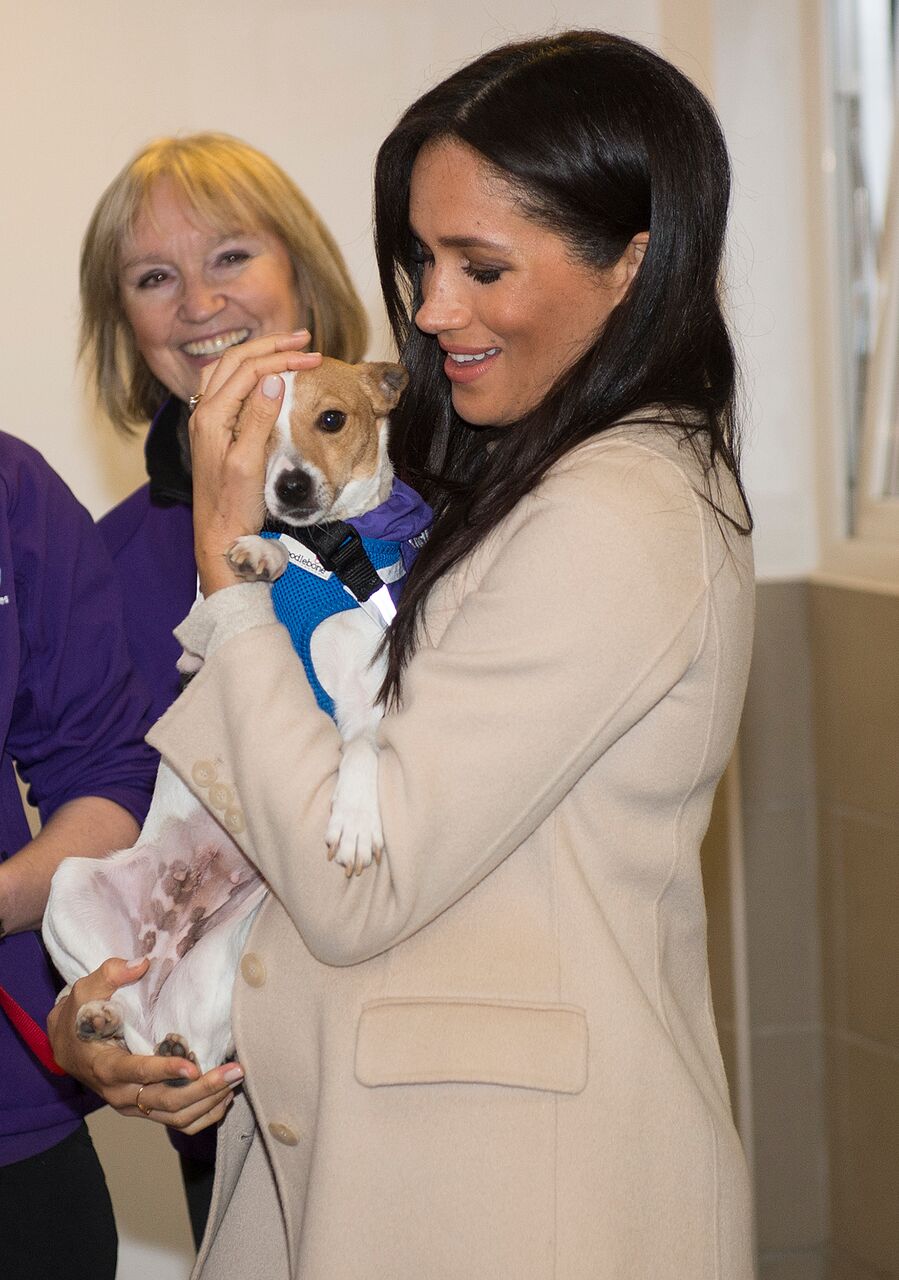 Meghan Markle cradling a dog. | Source: Getty Images