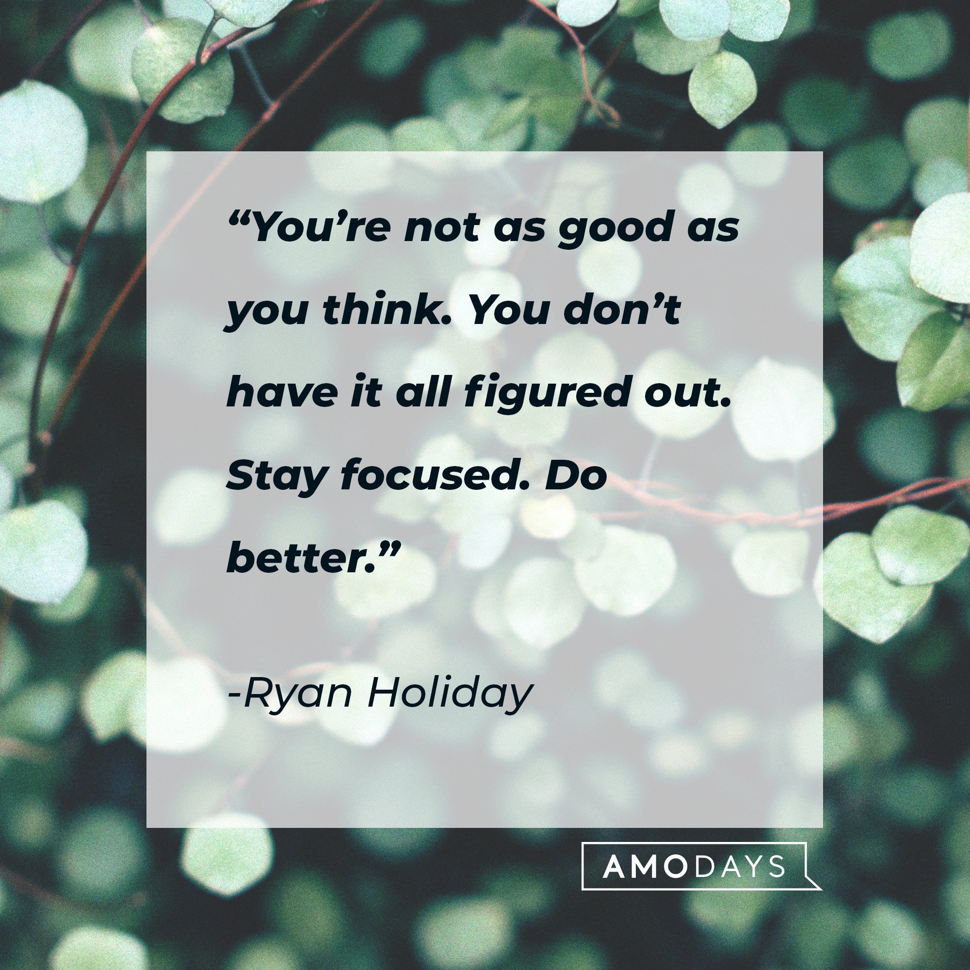Ryan Holiday's quote: “You’re not as good as you think. You don’t have it all figured out. Stay focused. Do better.”  | Image: AmoDays