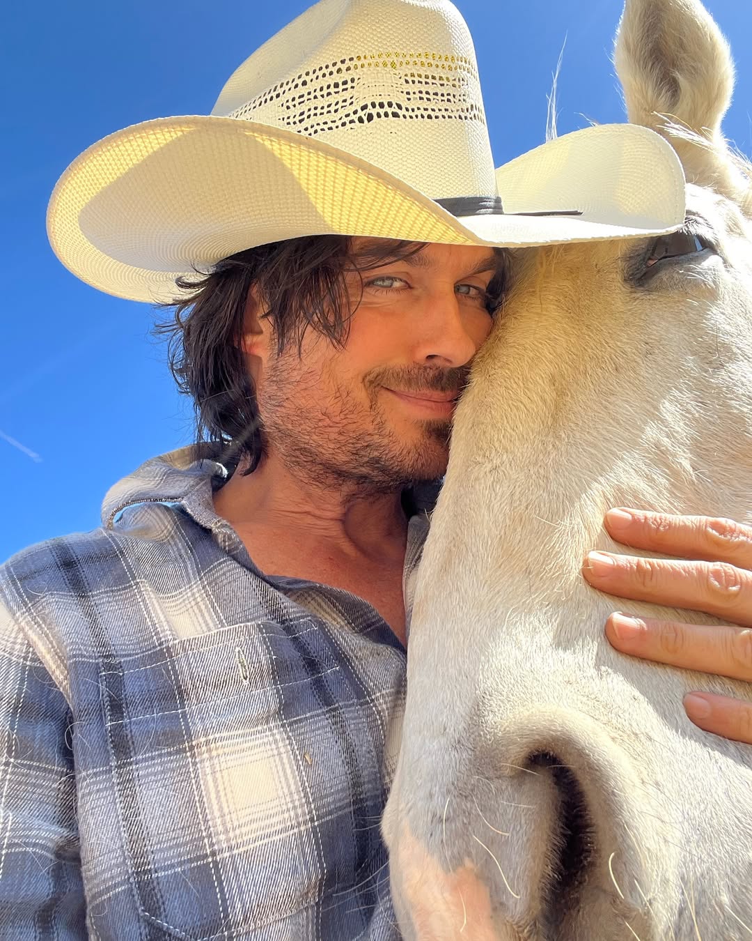 Ian Somerhalder posing next to a horse, dated October 2024 | Source: Instagram/iansomerhalder