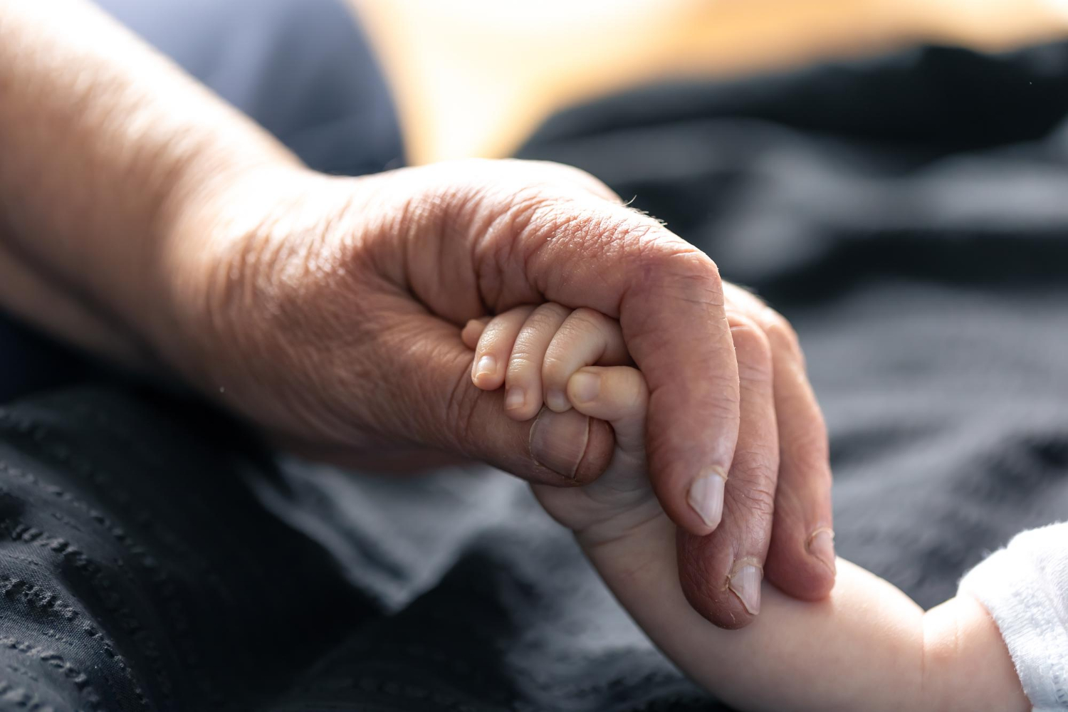 A senior person holding a baby's hand | Source: Freepik