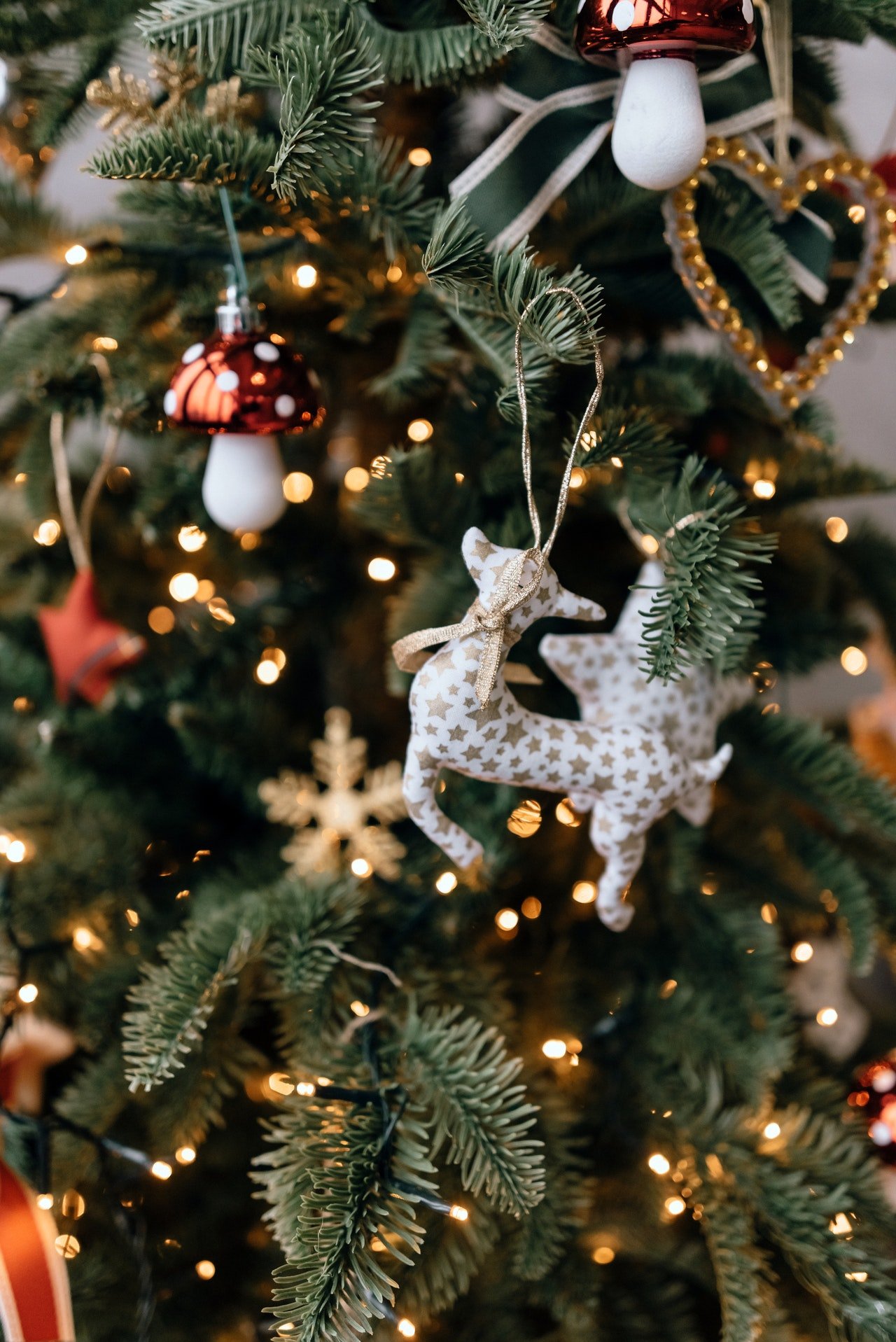 A christmas tree with decoration | Photo: Pexels