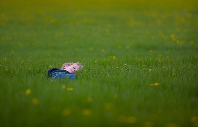 Un petit garçon allongé dans un champ. l Source: Flickr