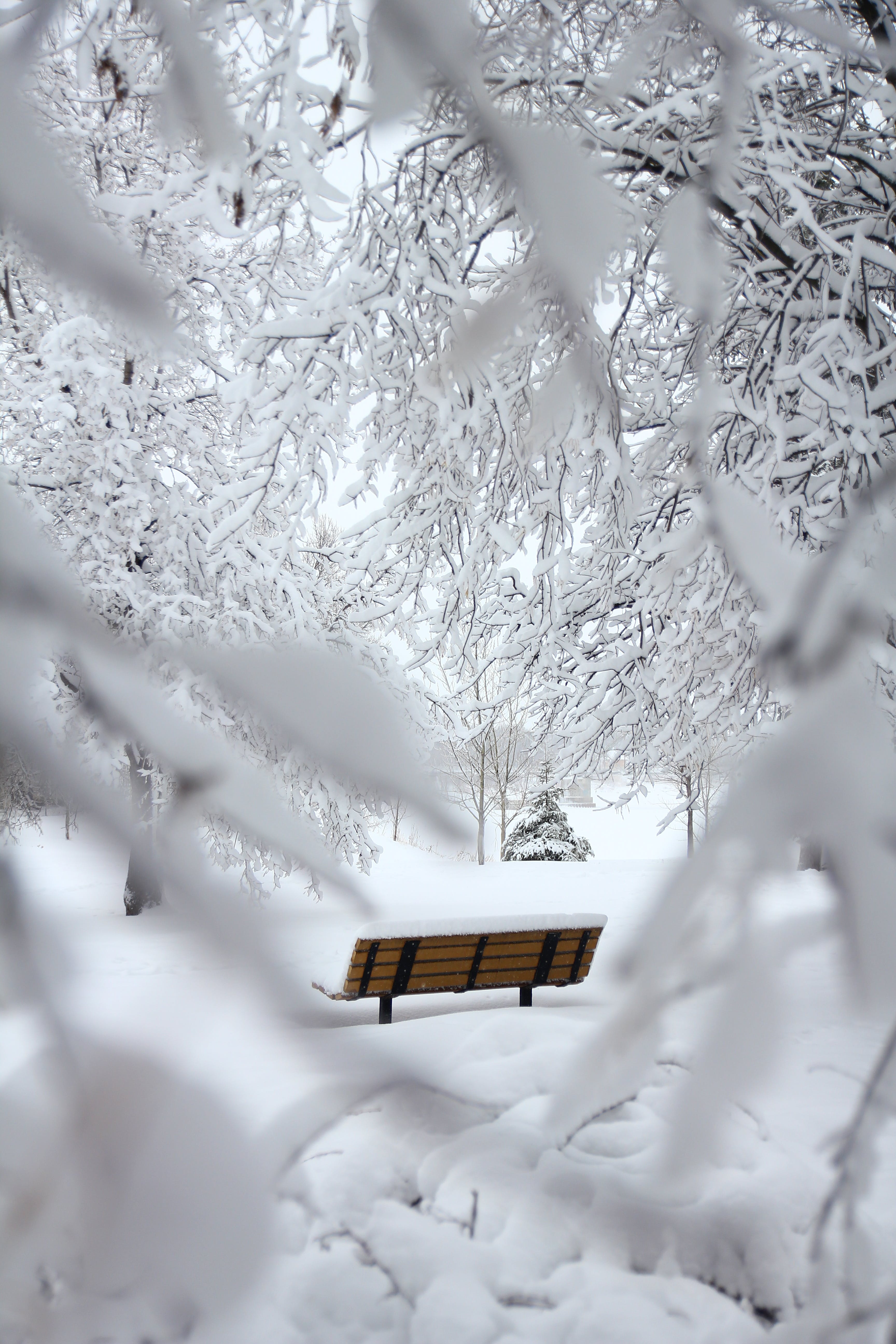 Brown outdoor bench in the snow | Source: Pexels