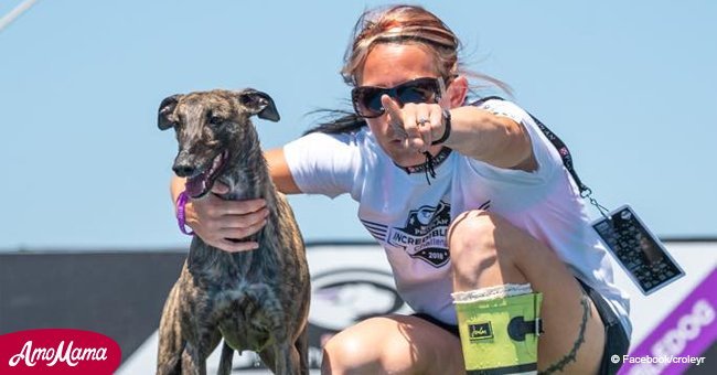 New world record for Slingshot the dock-diving dog