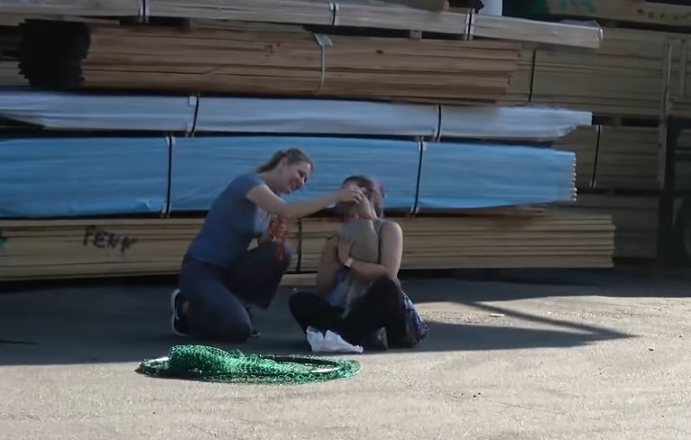 Shania konnte die Leine angelegt werden | Quelle: YouTube/Hope for Paws - Official Rescue Channel