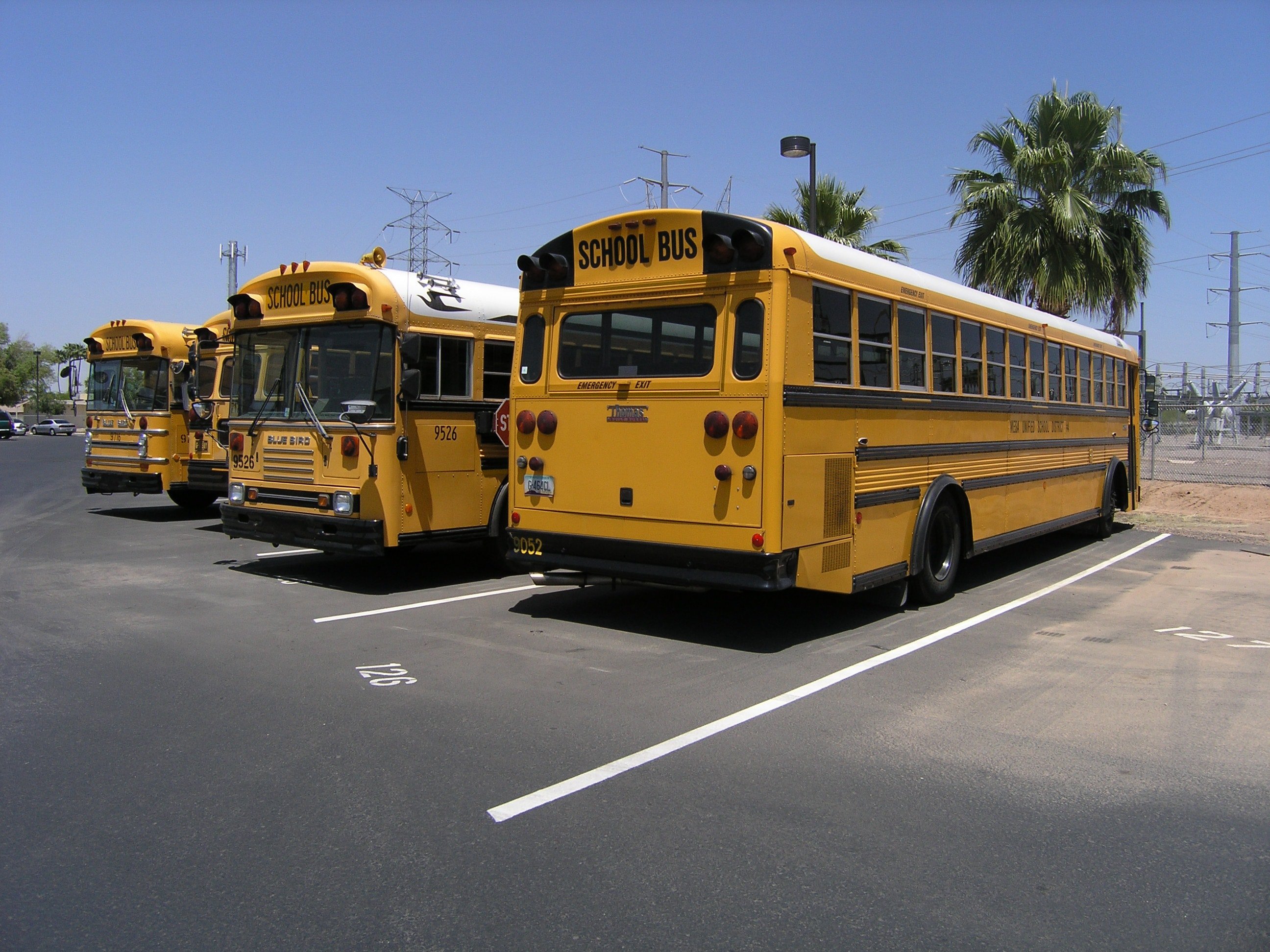 Viele, darunter auch Schulbusfahrer, überschwemmten die Geschichte mit überwältigenden Reaktionen | Quelle: Unsplash