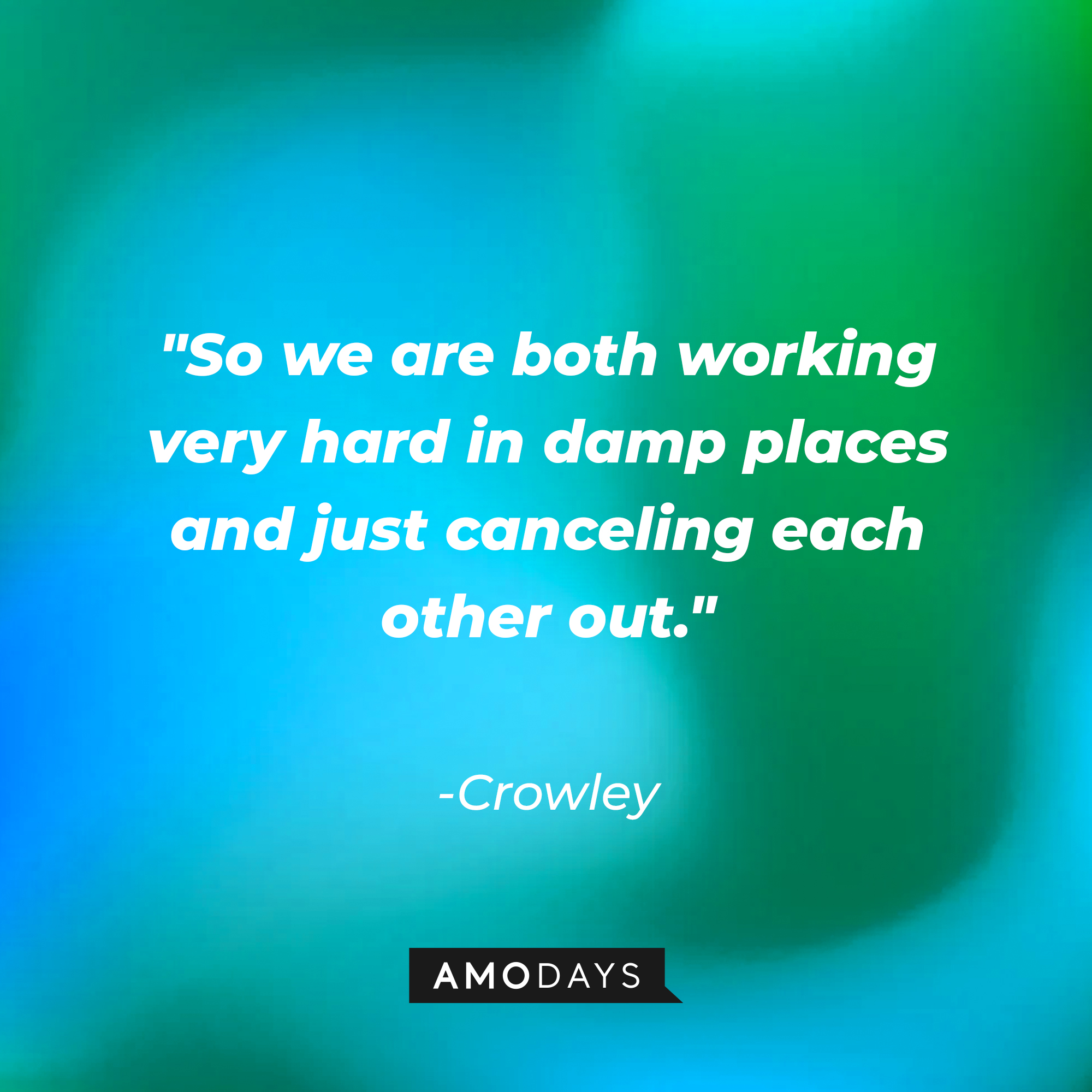 Crowley's quote: "So we are both working very hard in damp places and just canceling each other out." | Source: AmoDays