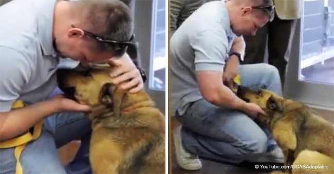 Lost dog finally reunited with owner after seven long months