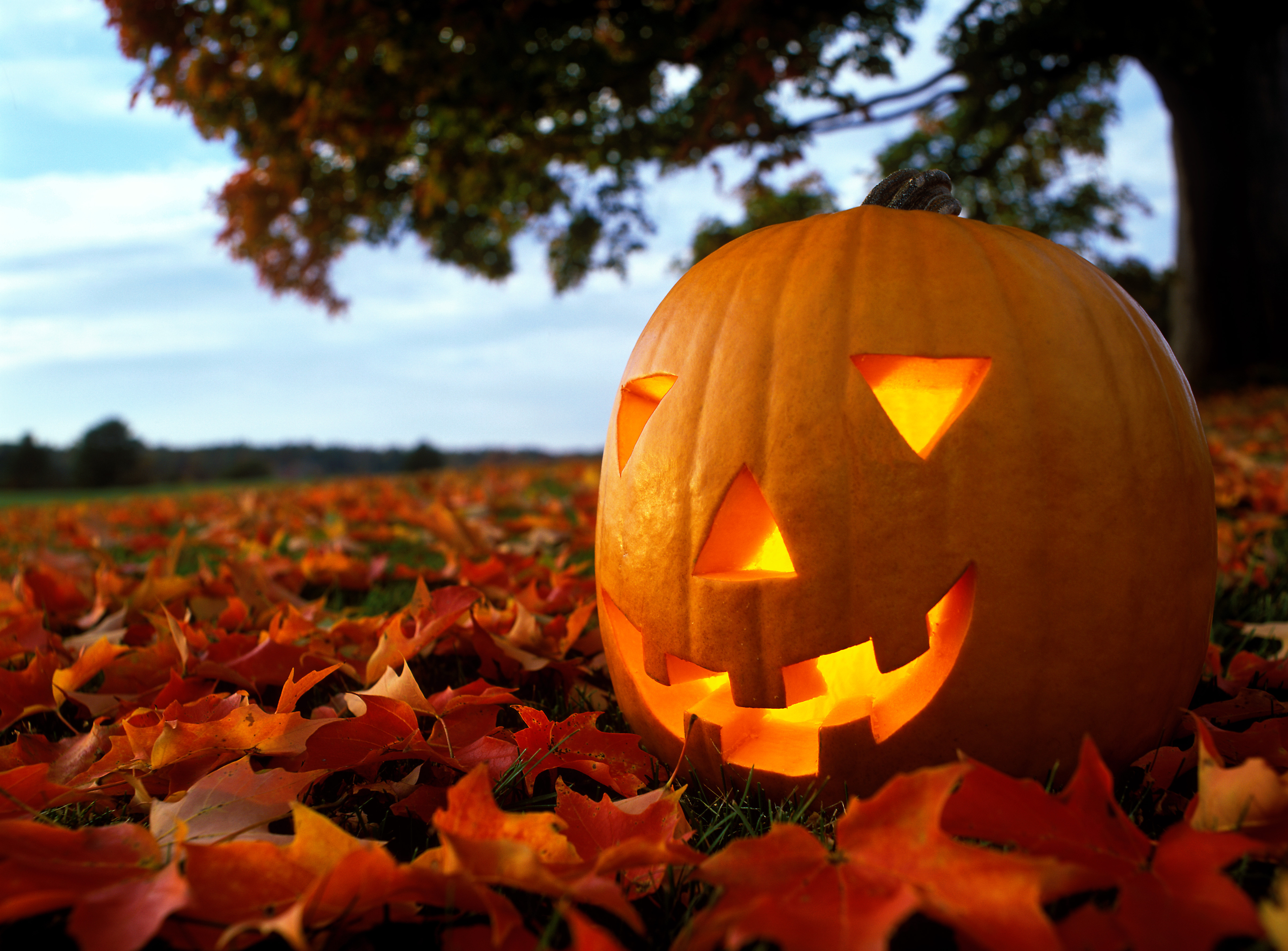 A jack-o'-lantern | Source: Getty Images