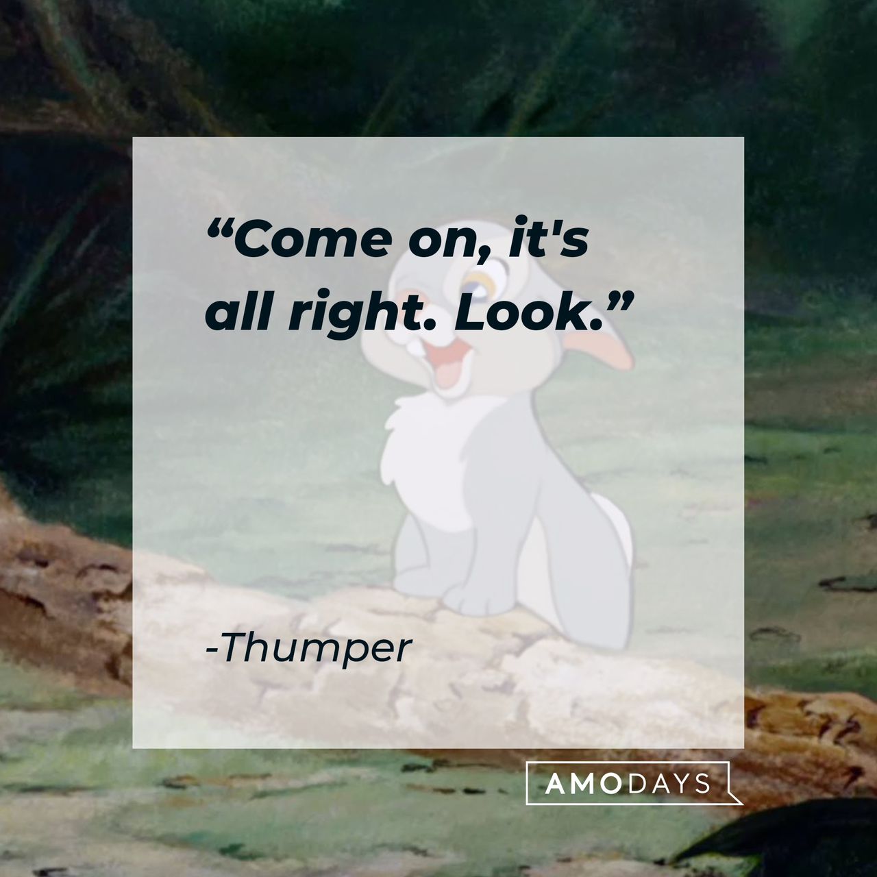 Thumper's quote "Come on, it's all right. Look." | Source: facebook.com/DisneyBambi