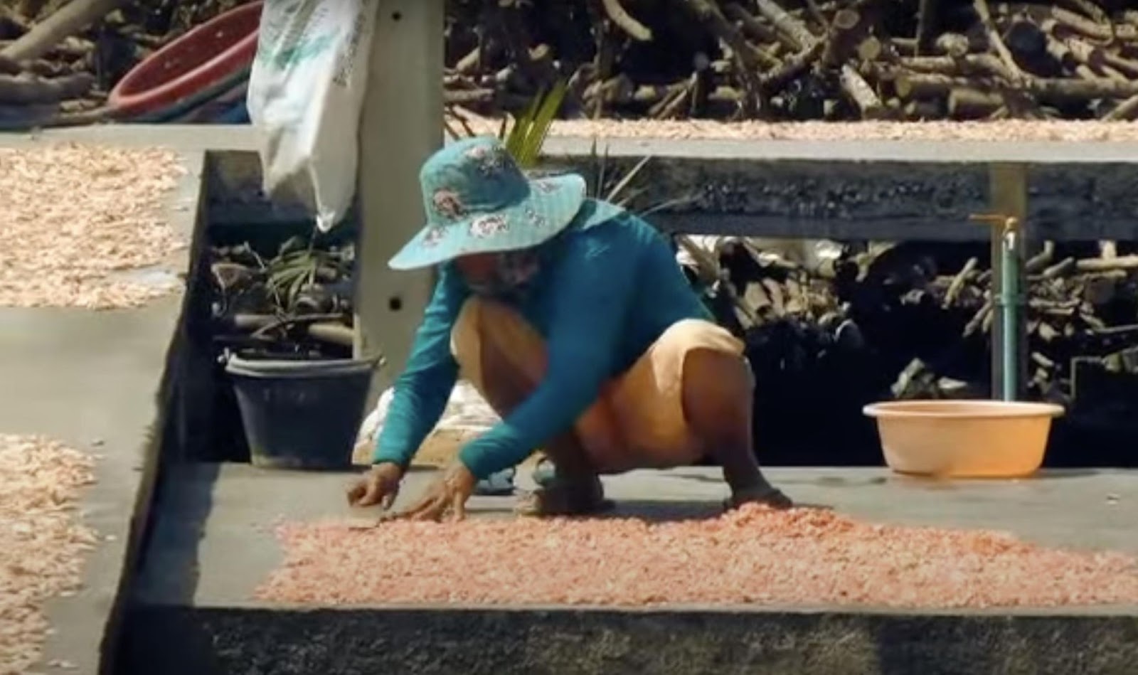 A man spreads shrimp along a concrete path to dry under the sun. | Source: YouTube/ KRUA dot CO