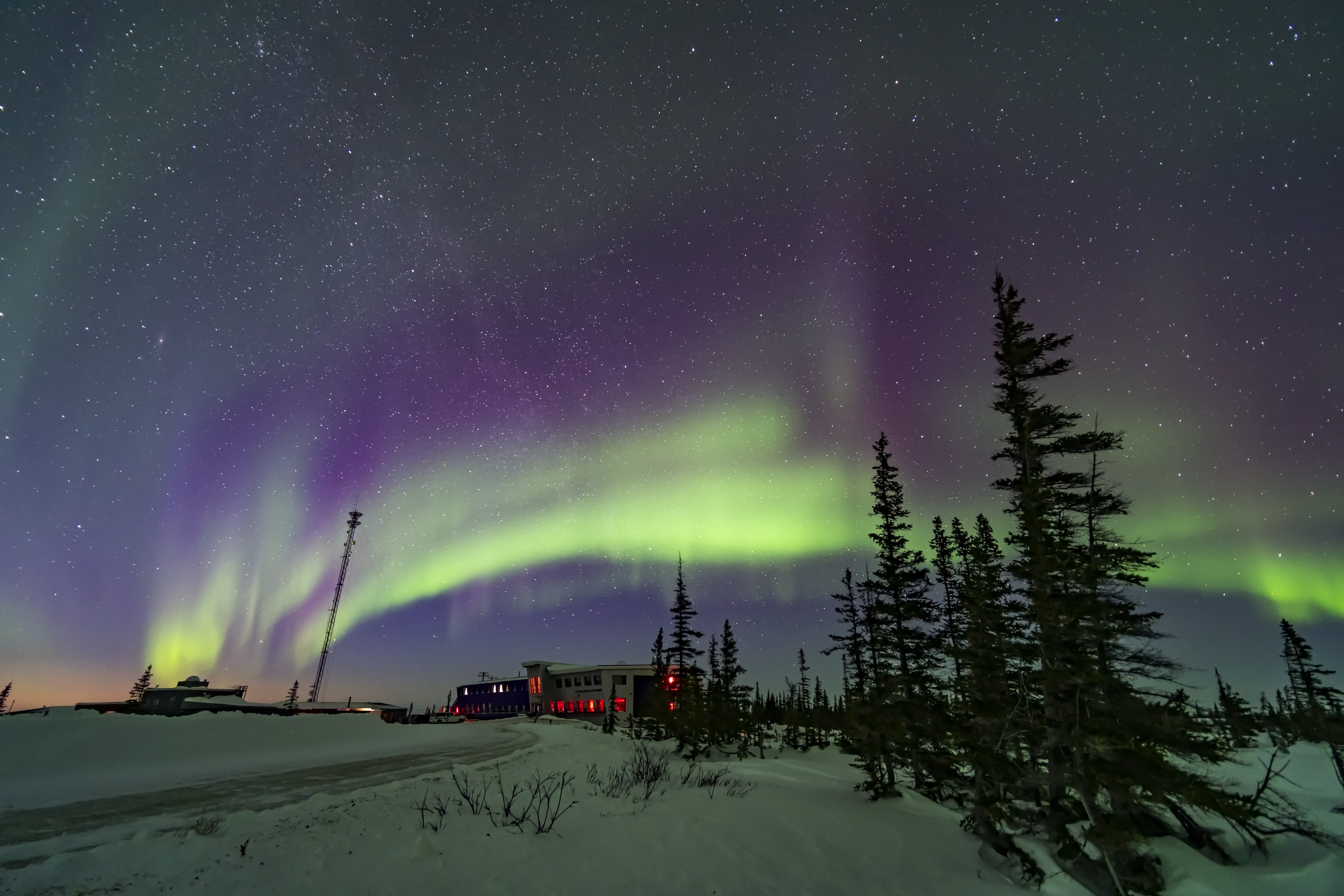 A pastel-coloured aurora over the Rocket Range Road and Northern Studies Center in Churchill, Manitoba, March, 18, 2020. A single shot with the Sony a7III and Venus Optics 15mm lens | Photo by: Getty Images