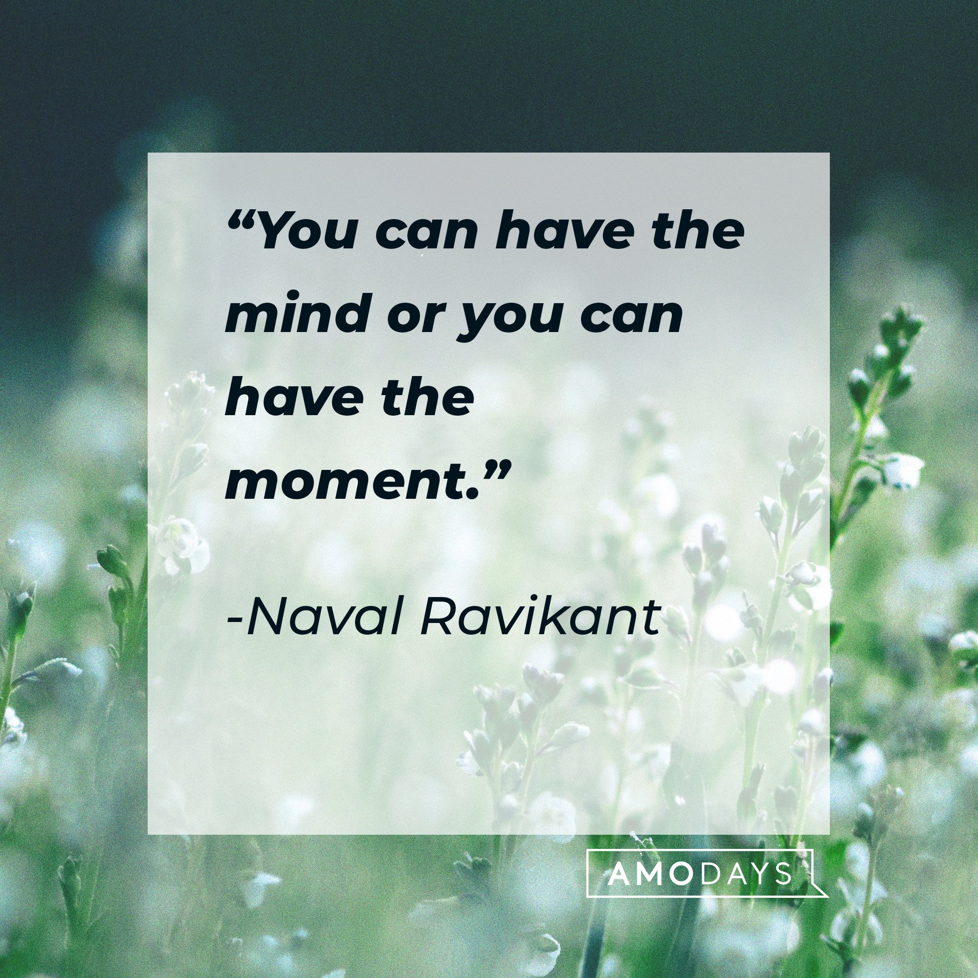  Naval Ravikant's quote: “You can have the mind or you can have the moment.” | Image: AmoDays