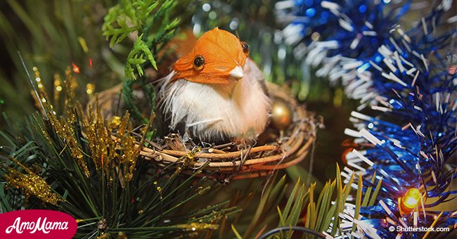 Here's what it means if you see a bird's nest on a Christmas tree