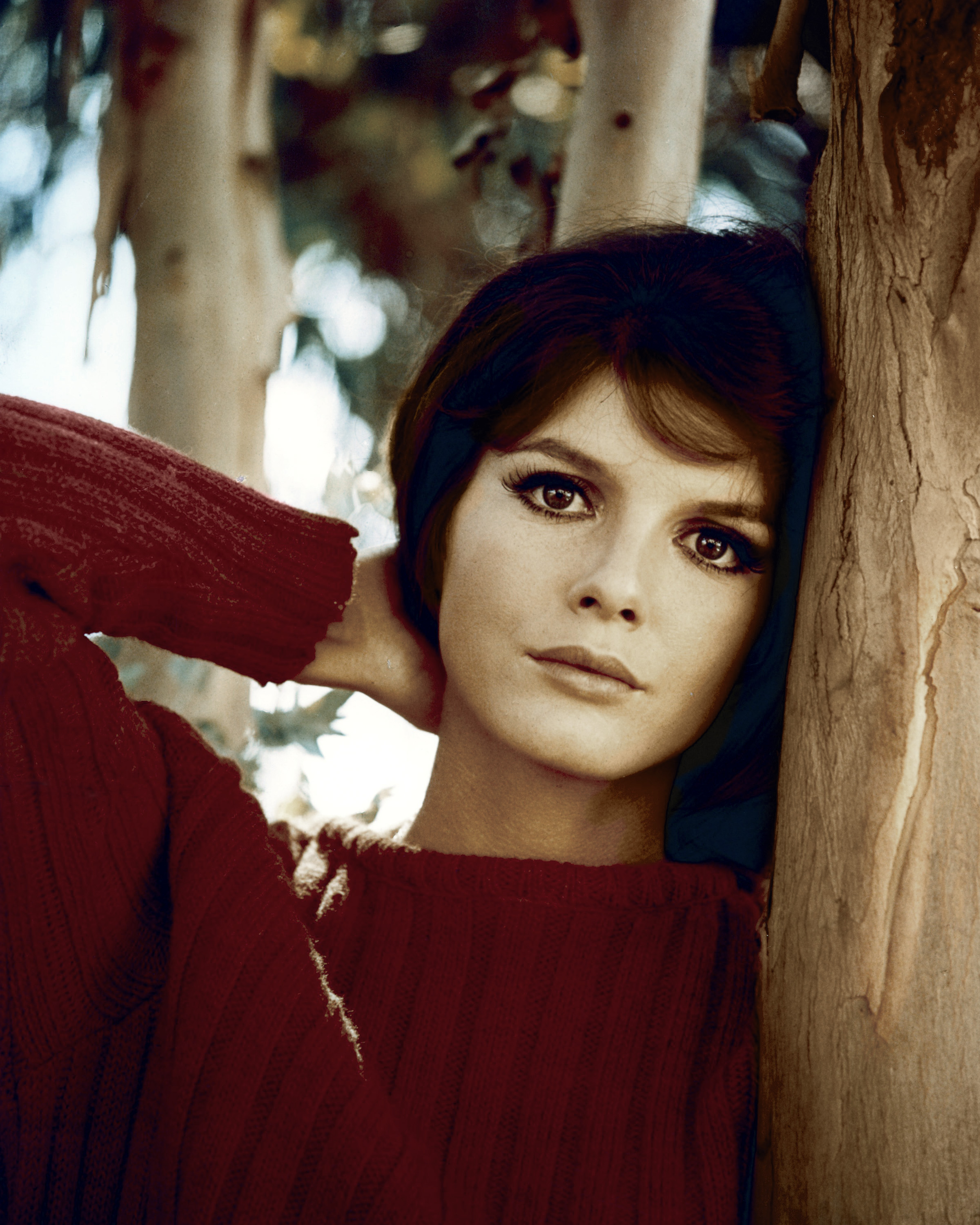 American actress Katharine Ross, circa 1970 | Source: Getty Images