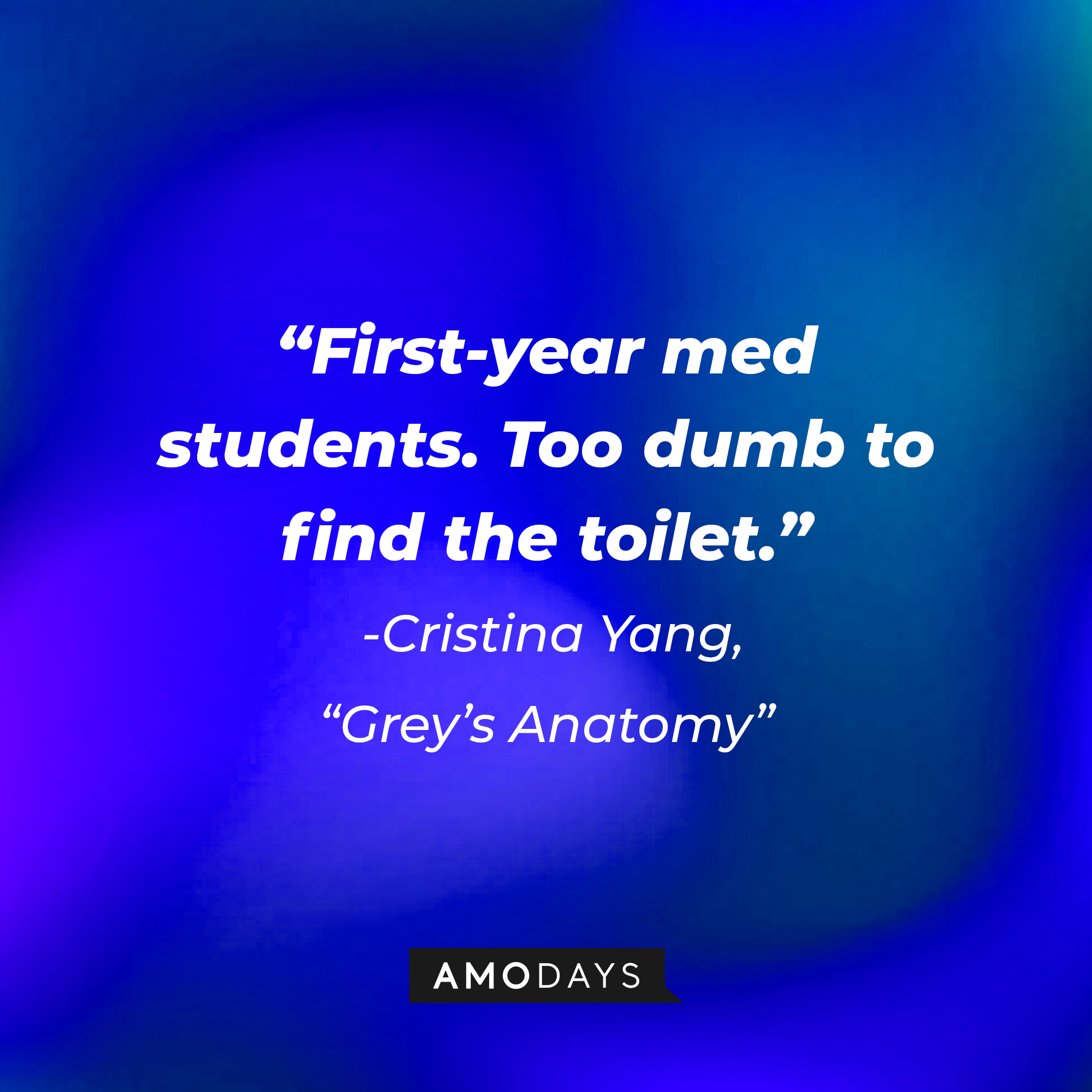 Cristina Yang's quote on "Grey's Anatomy:" “First-year med students. Too dumb to find the toilet.” | Source: AmoDays