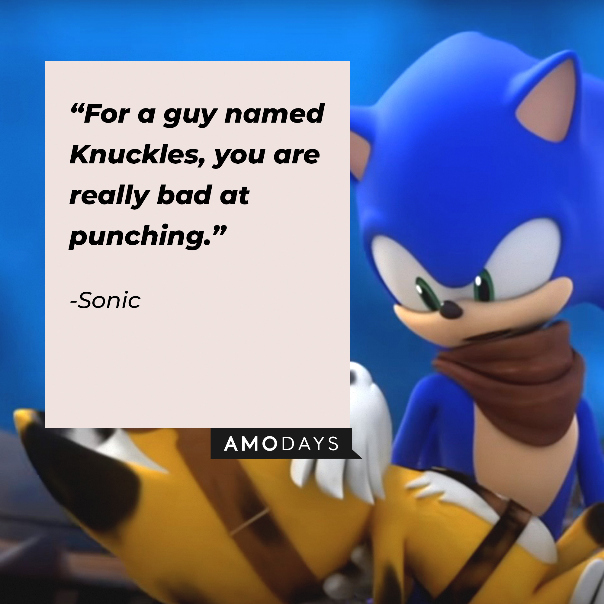 An image of Sonic the Hedgehog with his quote: “For a guy named Knuckles, you are really bad at punching.” | Source: youtube.com/Sonic.Boom_Official